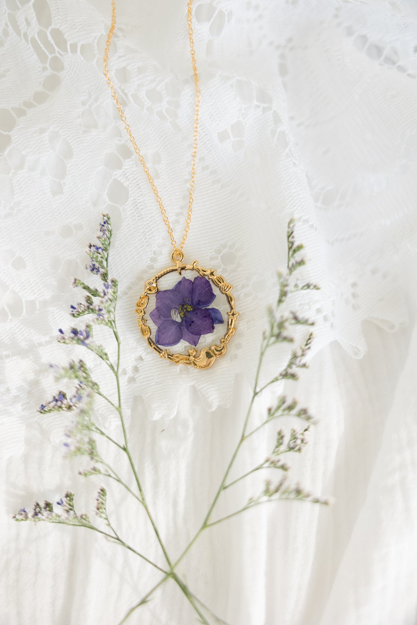 Purple Larkspur